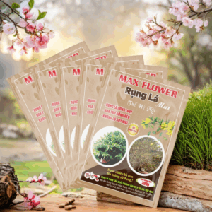 PHÂN BÓN MAX FLOWER – RỤNG LÁ MAI (ABC13)