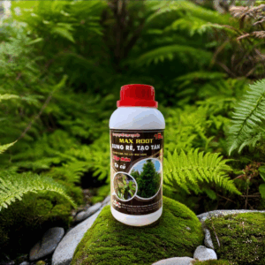 PHÂN BÓN MAX ROOT – BUNG RỄ TẠO TÁN (ABC5)