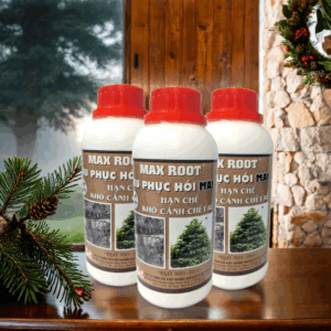 PHÂN BÓN MAX ROOT – SIÊU PHỤC HỒI MAI SAU TẾT (ABC6)