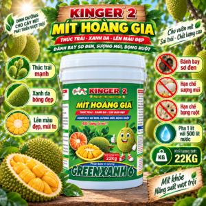 ABC71 PHÂN BÓN VI LƯỢNG GREENXANH 6 KINGER 2 - MÍT HOÀNG GIA (22KG)
