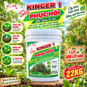 PHÂN BÓN KINGER 1 - SIÊU PHỤC HỒI (22KG) (ABC73)