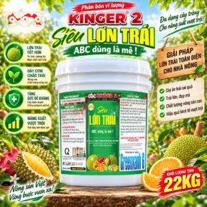 PHÂN BÓN KINGER 2 - SIÊU LỚN TRÁI (22KG) (ABC74)