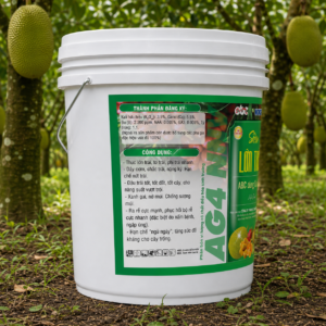 Siêu Lớn Trái 22kg mặt sau