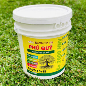 KINGER – PHÚ QUÝ 20-20-15 + TE XÔ 22KG (ABC35)