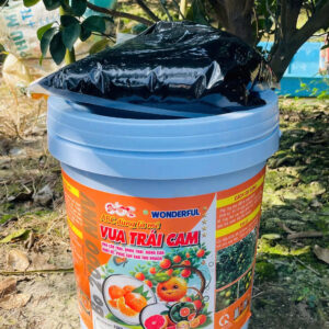 WONDERFUL – VUA TRÁI CAM XÔ 22KG (ABC41)