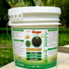 Kinger RootBost