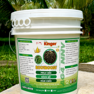 Kinger RootBost
