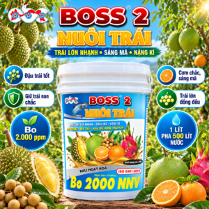 PHÂN BÓN BOSS 2 - NUÔI TRÁI (22KG) (ABC67)